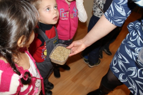 Ozolaines un Lūznavas pagastu bērnudārzi apmeklēja muzeju Rēzeknē 22.02.2017._8